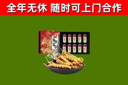 四平市回收冬虫夏草价格